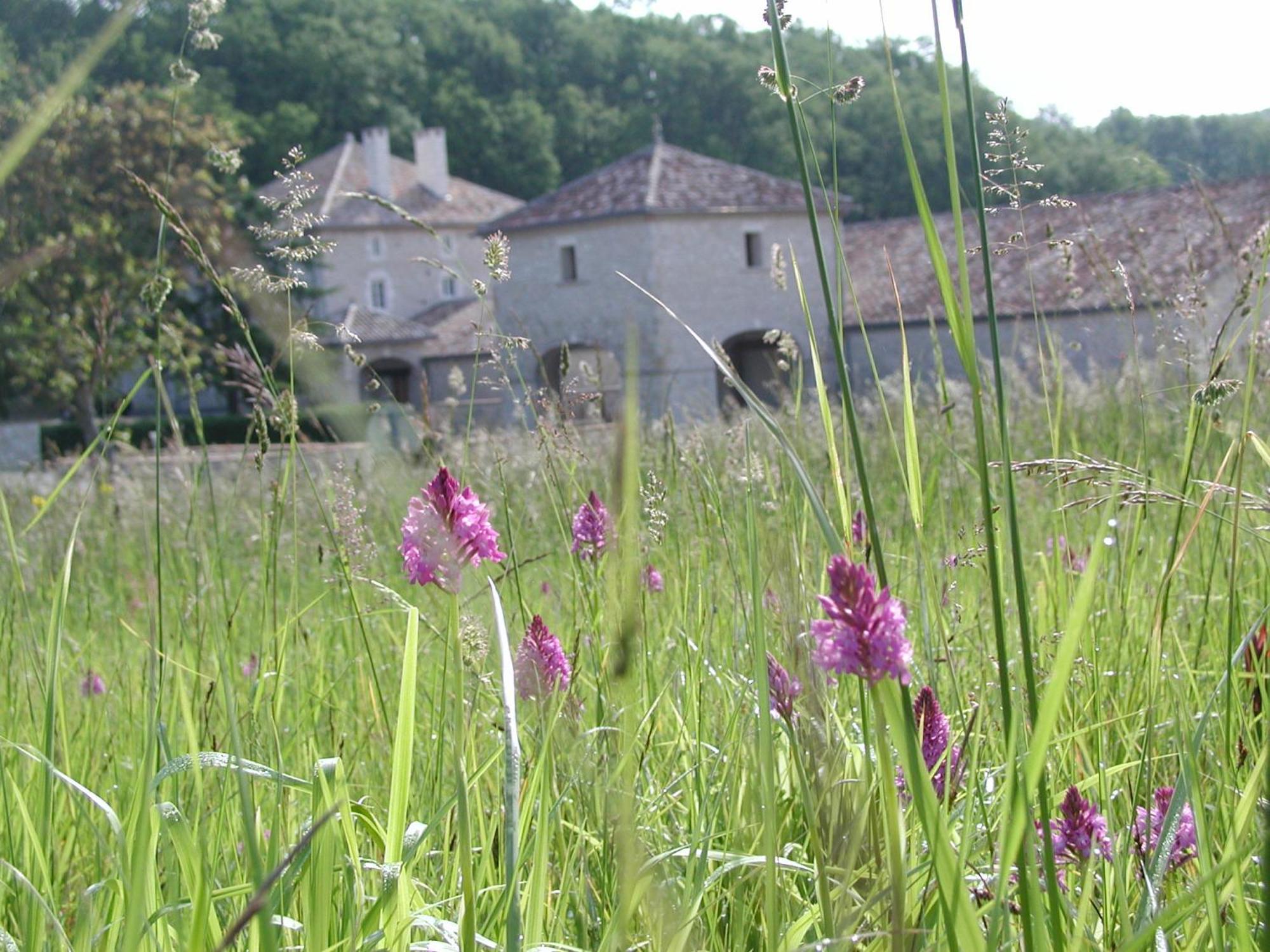 Chateau Lecusse - La Grande Roche - Hotel, Spa, Boutique & Restaurant Broze Exterior foto